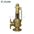 Overpressure Protection Device DIN Safety Valve Wcb